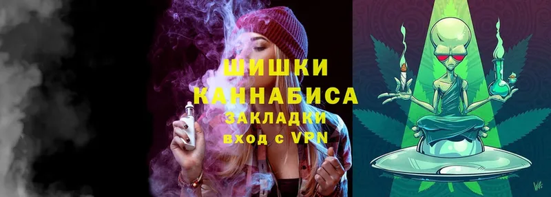 где найти   Поворино  Каннабис OG Kush 